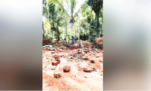 അ​ശാ​സ്ത്രീ​യ നി​ർ​മാ​ണം;  ദേ​ശീ​യ​പാ​ത​യോ​ര​ത്തെ വീ​ടു​ക​ളി​ൽ ച​ളി​വെ​ള്ളം