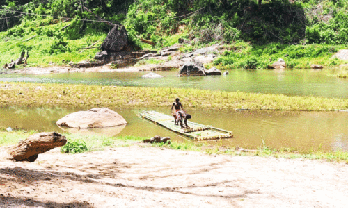 ഇരുട്ടുകുത്തിയില് പാലം വാഗ്ദാനത്തിലൊതുങ്ങി ആദിവാസികളുടെ ദുരിതത്തിന് അറുതിയായില്ല ഇരുട്ടുകുത്തിയില് പാലം വാഗ്ദാനത്തിലൊതുങ്ങി ആദിവാസികളുടെ ദുരിതത്തിന് അറുതിയായില്ല