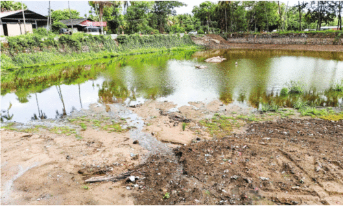 പുത്തൻകുളം കാത്തിരിക്കുന്നു, നീന്തൽ പരിശീലനത്തിനായി