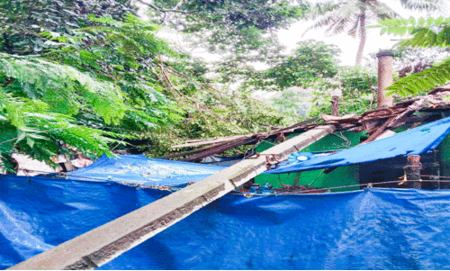 വൈദ്യുതി പോസ്റ്റ് വീടിനു മുകളിലേക്ക് വീണ്​ അപകടം