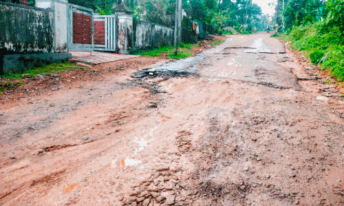 ഓടക്കാലി-നാഗഞ്ചേരി റോഡ് ടെന്‍ഡര്‍ എടുക്കാന്‍ ആളില്ല