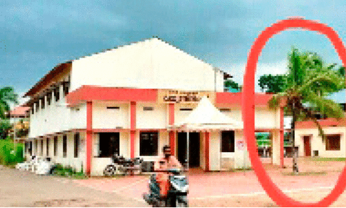 പഞ്ചായത്ത് പാട്ടത്തിന്​ നൽകിയ തെങ്ങ് മുറിച്ചുമാറ്റി