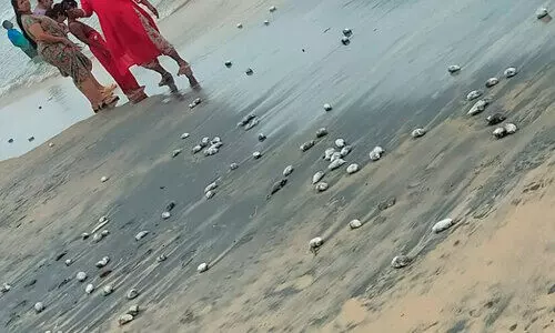 കോവളം തീരത്ത് മത്സ്യങ്ങൾ ചത്ത് കരയ്ക്കടിഞ്ഞു