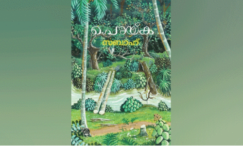 ഒരു ദേശം കഥയിൽ പ്രവേശിക്കുമ്പോൾ