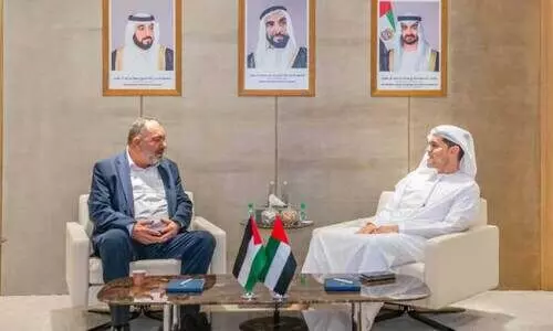 uae helps palestine