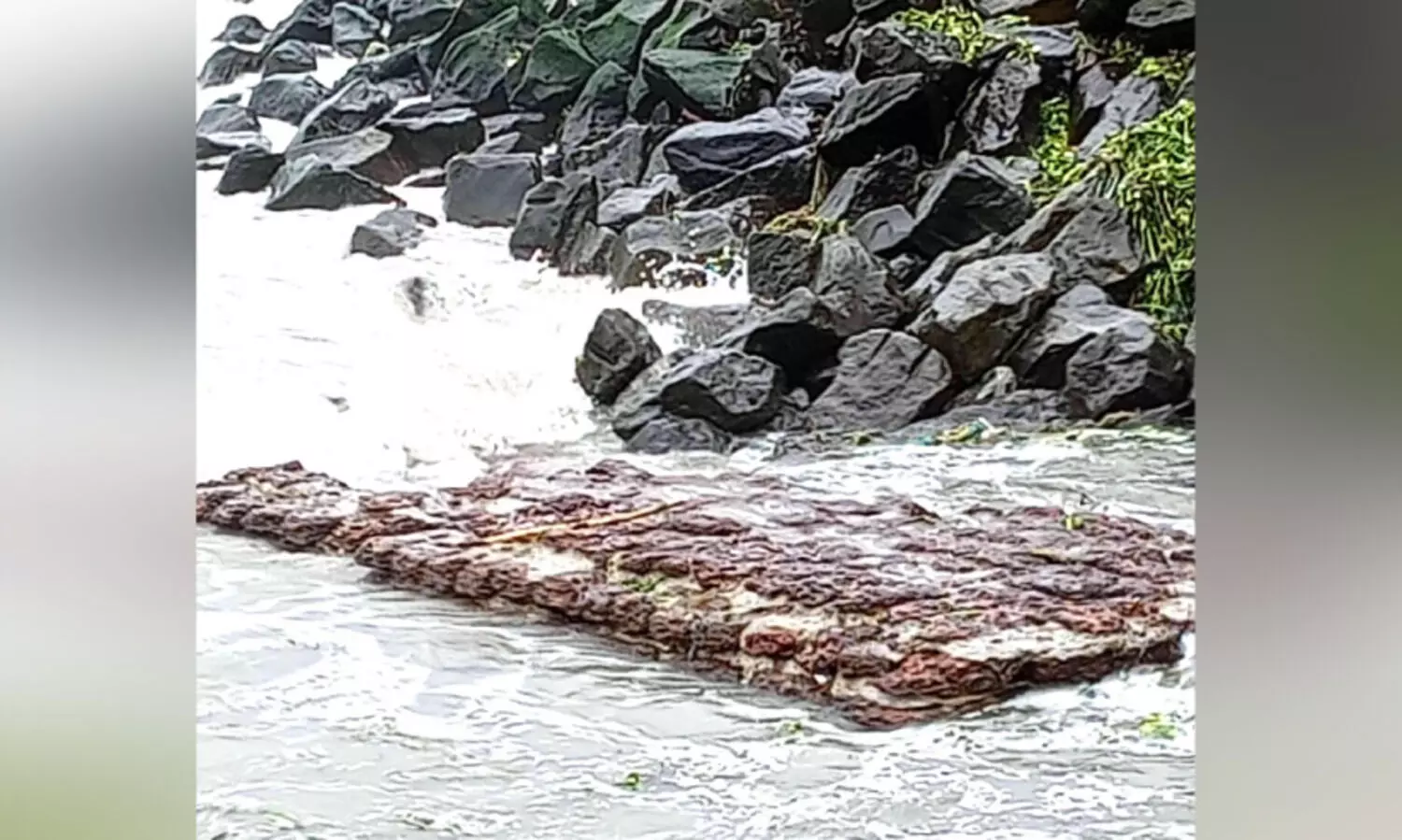 ഇമ്മാനുവൽ കോട്ടയുടെ ശേഷിപ്പുകൾ   കൊച്ചി കടപ്പുറത്ത് തെളിഞ്ഞു