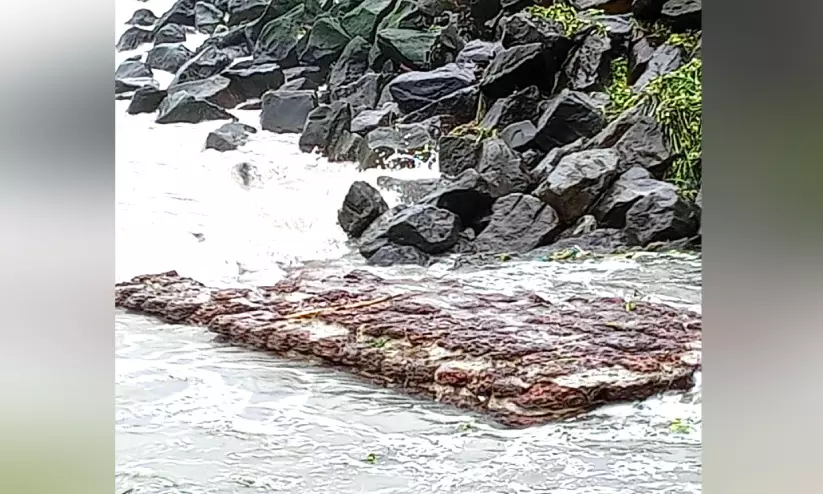 ഇമ്മാനുവൽ കോട്ടയുടെ ശേഷിപ്പുകൾ കൊച്ചി കടപ്പുറത്ത് തെളിഞ്ഞു ഇമ്മാനുവൽ കോട്ടയുടെ ശേഷിപ്പുകൾ കൊച്ചി കടപ്പുറത്ത് തെളിഞ്ഞു