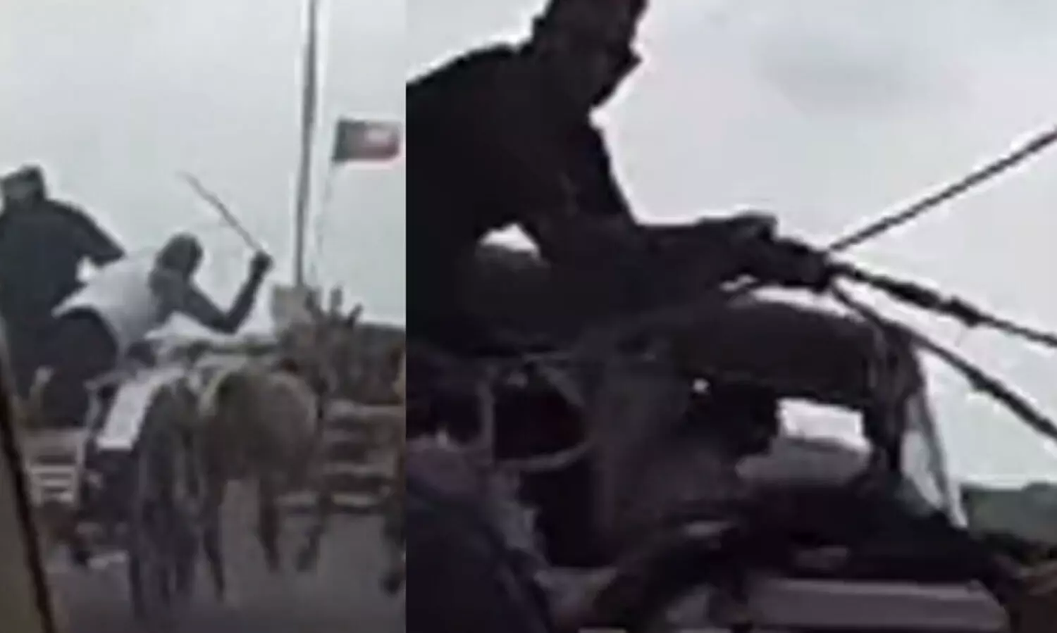 തിരക്കേറിയ ഹൈവേയിൽ കുതിരവണ്ടിയിൽ പാഞ്ഞ് യുവാക്കൾ; പ്രതിഷേധം, അറസ്റ്റ്