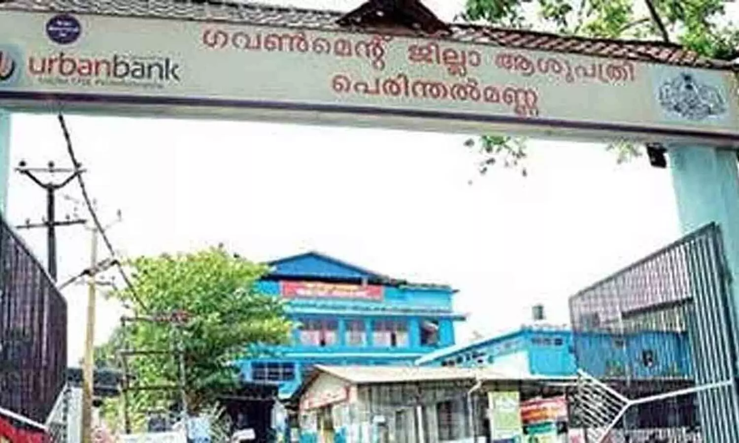 പെരിന്തല്‍മണ്ണ ജില്ല ആശുപത്രിയിൽ മൂർഖൻ പാമ്പിന്റെ കുഞ്ഞുങ്ങൾ