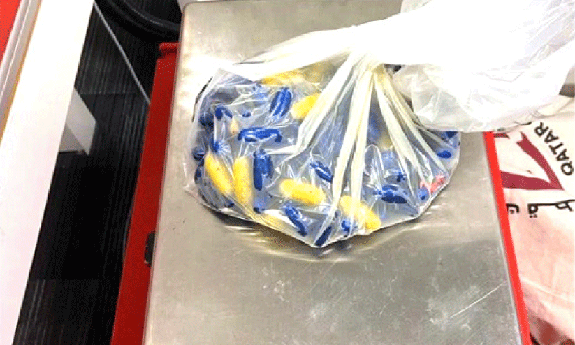 Drugs smuggled Drugs smuggled