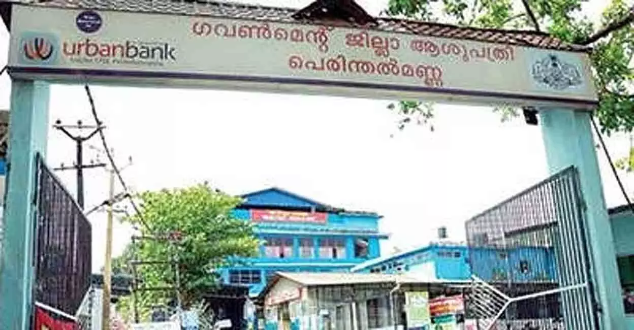 പെരിന്തല്മണ്ണ ജില്ല ആശുപത്രിയിൽ മൂർഖൻ പാമ്പിന്റെ കുഞ്ഞുങ്ങൾ പെരിന്തല്മണ്ണ ജില്ല ആശുപത്രിയിൽ മൂർഖൻ പാമ്പിന്റെ കുഞ്ഞുങ്ങൾ