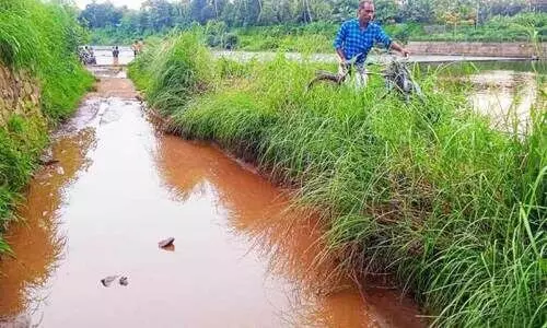 waterlogged waterlogged