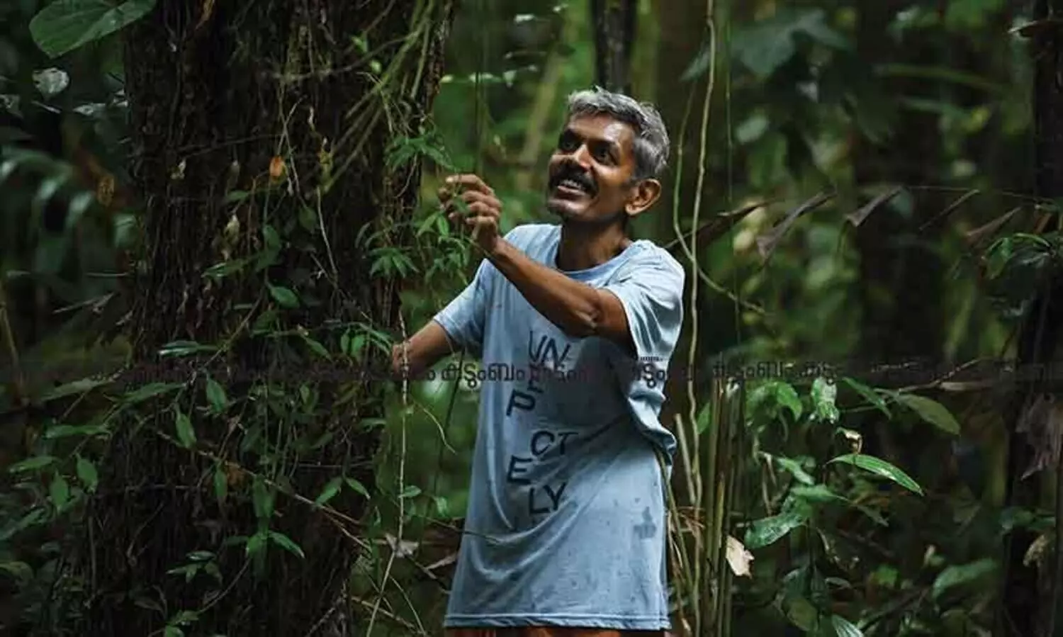 Converting unused land to fruit forest, meet Manoj IB