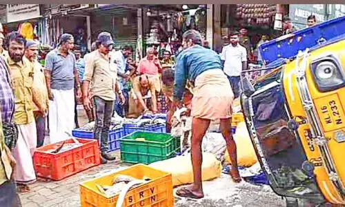 മത്സ്യവണ്ടി മറിഞ്ഞു; ഡ്രൈവർ രക്ഷപ്പെട്ടു