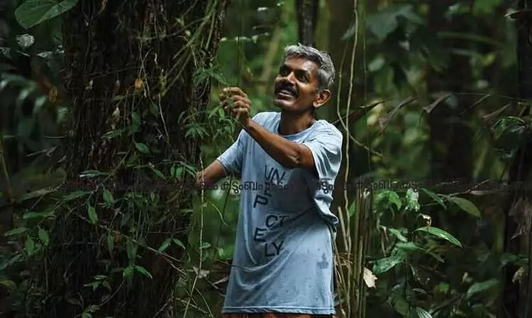 Converting unused land to fruit forest, meet Manoj IB