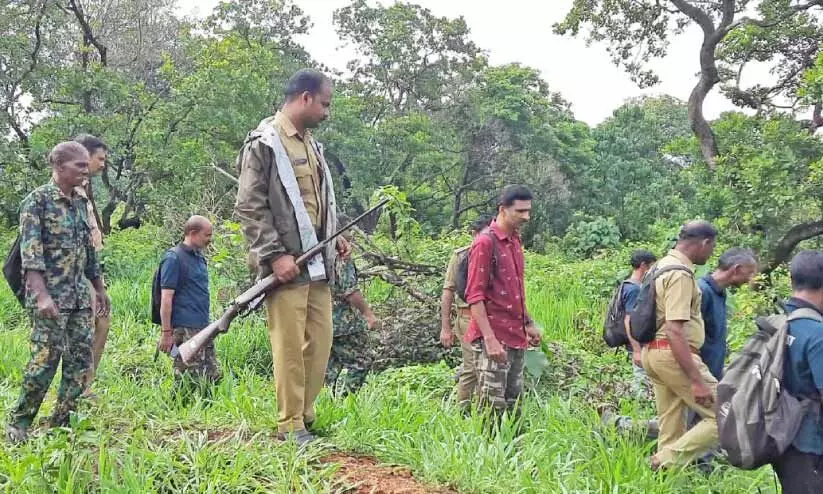 aralam farm aralam farm