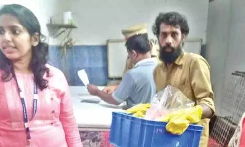 tsunami meat tsunami meat