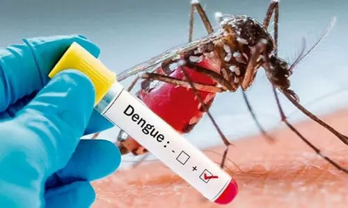 dengue fever