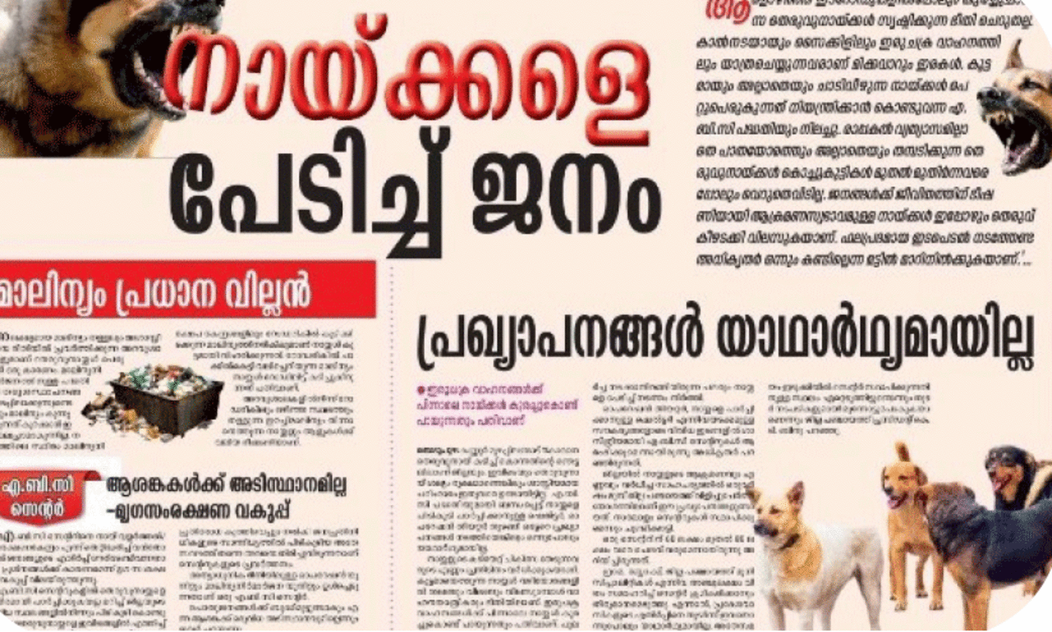 തെരുവുനായ്​ ശല്യം; പൈനാവിൽ എ.ബി.സി സെന്‍ററിന്​ നടപടി