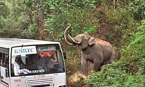 വന്യജീവി ആക്രമണം തടയൽ; പദ്ധതിക്ക്​ പണം കണ്ടെത്താന്‍ വിദഗ്ധ സമിതിയായി