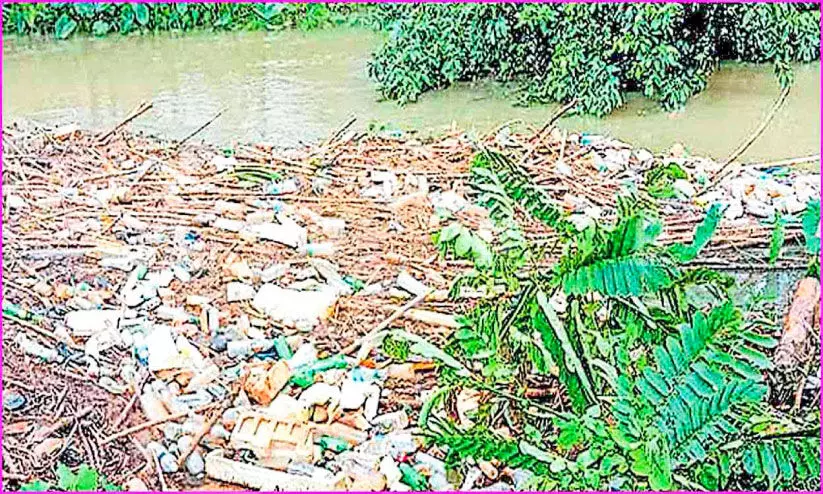 മാലിന്യവാഹിനിയായ മുളവൂർ തോട് നവീകരണത്തിന് കളമൊരുങ്ങുന്നു മാലിന്യവാഹിനിയായ മുളവൂർ തോട് നവീകരണത്തിന് കളമൊരുങ്ങുന്നു