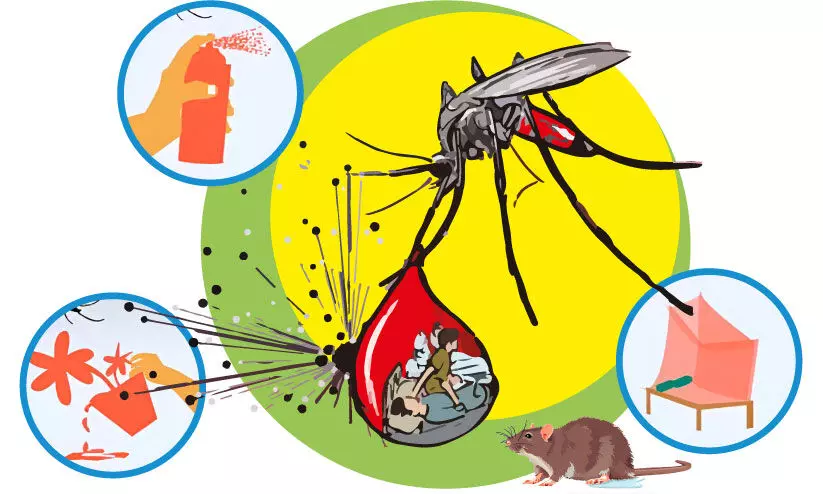 പകര്‍ച്ചവ്യാധി പ്രതിരോധം: ആഴ്ചയില്‍ മൂന്ന് ദിവസം ഡ്രൈഡേ