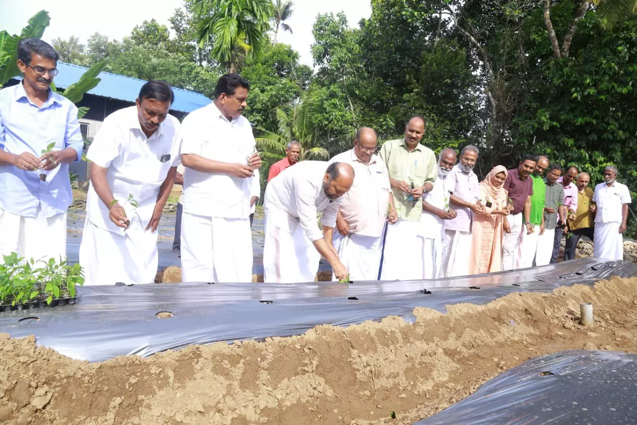മൂല്യവർധിത ഉത്‌പന്നങ്ങൾക്കായി സഹകരണ ബാങ്കുകൾ പ്രത്യേക പദ്ധതി നടപ്പിലാക്കുമെന്ന് പി. രാജീവ്