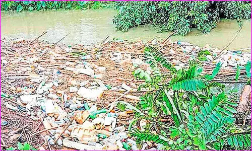 മാലിന്യവാഹിനിയായ മുളവൂർ തോട് നവീകരണത്തിന് കളമൊരുങ്ങുന്നു മാലിന്യവാഹിനിയായ മുളവൂർ തോട് നവീകരണത്തിന് കളമൊരുങ്ങുന്നു