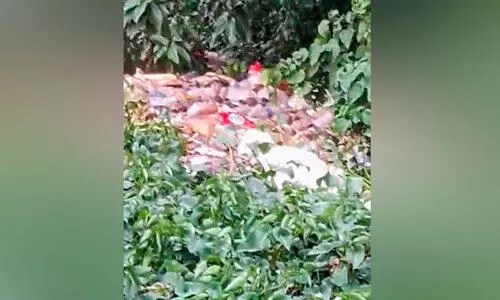 മാ​ലി​ന്യം കെ​ട്ടി​ക്കി​ട​ന്ന് തോ​ട്ടി​ലെ ഒ​ഴു​ക്ക് ത​ട​സ്സ​പ്പെ​ടു​ന്നു