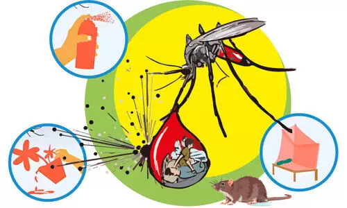 പകര്‍ച്ചവ്യാധി പ്രതിരോധം: ആഴ്ചയില്‍ മൂന്ന് ദിവസം ഡ്രൈഡേ