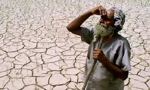 പെയ്യാൻ മടിച്ച് മഴ കർഷകർക്ക് ആശങ്ക പെയ്യാൻ മടിച്ച് മഴ കർഷകർക്ക് ആശങ്ക