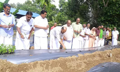 മൂല്യവർധിത ഉത്‌പന്നങ്ങൾക്കായി സഹകരണ ബാങ്കുകൾ പ്രത്യേക പദ്ധതി നടപ്പിലാക്കുമെന്ന് പി. രാജീവ്