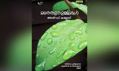 ashraf kallode-poems