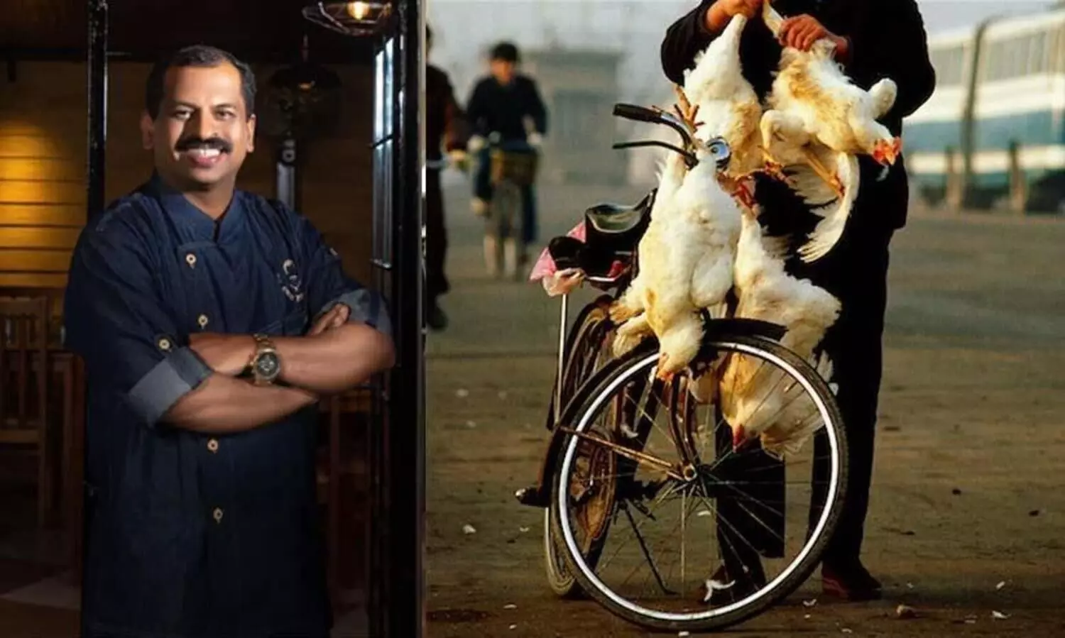 നാടൻ കോഴിയുമായി സൈക്കിളിൽ നാട്​ ചുറ്റുന്ന ഹോട്ടലുടമ; തുളസിയണ്ണന്‍റെ മാർക്കറ്റിങ്​ സ്കിൽ വിവരിച്ച്​ ​ഷെഫ്​ പിള്ള
