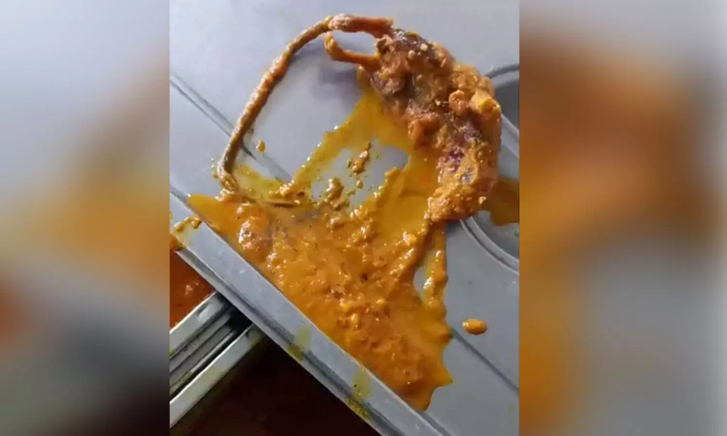 യുപിയിലെ രാമ മെഡിക്കൽ കോളജ് കാന്റീനിൽ വിളമ്പിയ കറിയിൽ ചത്ത എലി; വിഡിയോ പങ്കുവെച്ച് മാധ്യമ പ്രവർത്തകൻ