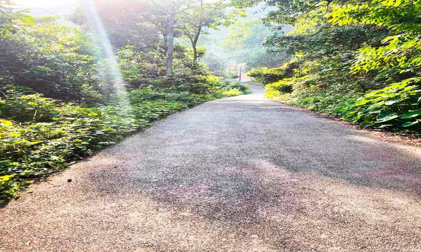 കുരുതിക്കളം-വെള്ളിയാമറ്റം റോഡിന്​ വീതിയില്ല; അപകടം കൂടുന്നു