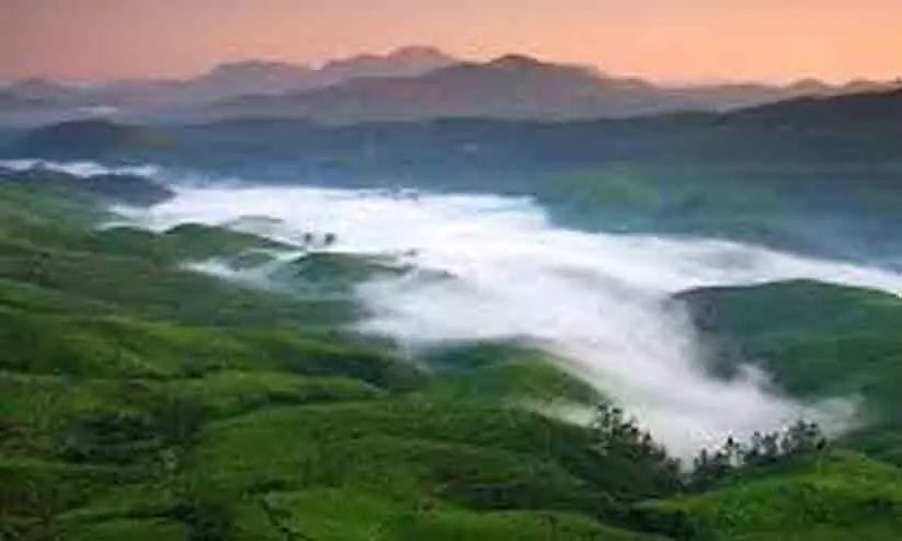 rain festival rain festival