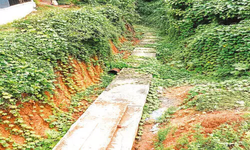 മ​ണ്ണൂ​രി​ൽ ക​ർ​ഷ​ക​ർ​ക്ക് ആ​ശ്വാ​സ​മാ​യി ക​നാ​ൽ നി​ർ​മാ​ണം