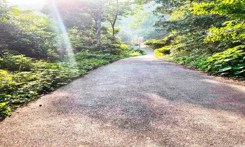 കുരുതിക്കളം-വെള്ളിയാമറ്റം റോഡിന്​ വീതിയില്ല; അപകടം കൂടുന്നു