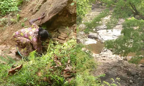 വട്ടച്ചിറ കോളനിയിലെ മരം മുറി: 52.98 ലക്ഷം ആദിവാസി വികസനത്തിന് നൽകണമെന്ന് ഉത്തരവ്