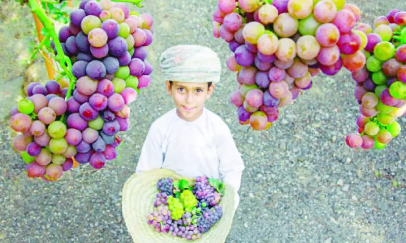 വ​രൂ, മു​ന്തി​രി​ത്തോ​പ്പു​ക​ളി​ൽ പോ​യി രാ​പ്പാ​ർ​ക്കാം