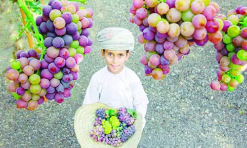 വ​രൂ, മു​ന്തി​രി​ത്തോ​പ്പു​ക​ളി​ൽ പോ​യി രാ​പ്പാ​ർ​ക്കാം