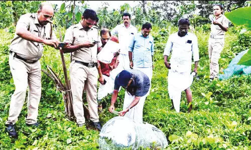 മോഷണം പോയ ക്ഷേത്രഭണ്ഡാരം പൂട്ട് തകർത്ത നിലയിൽ
