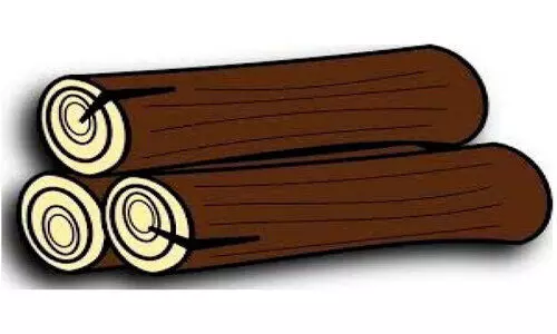 പട്ടയഭൂമിയിലെ മരങ്ങളും വെട്ടാന്‍ കഴിയാതെ നട്ടം തിരിഞ്ഞ് കര്‍ഷകര്‍