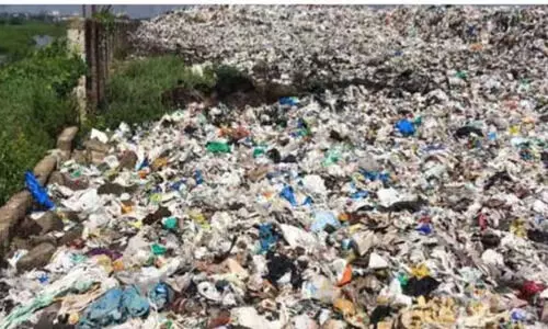 മാലിന്യം തള്ളൽ: കൊച്ചിയിൽ 10 കേസുകൾ കൂടി രജിസ്റ്റർ ചെയ്തു