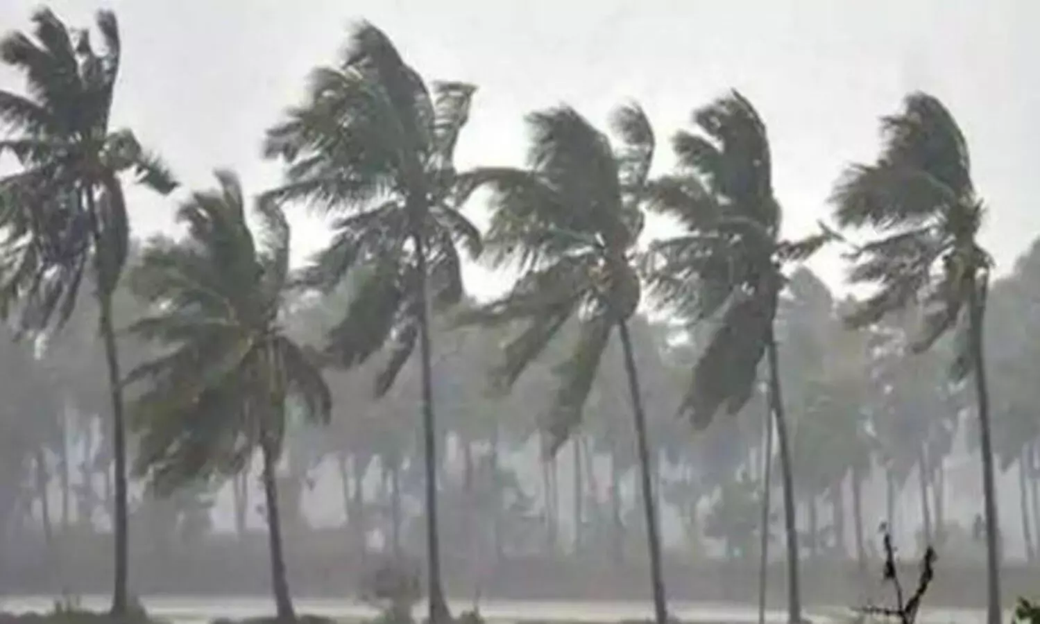 വെള്ളപ്പൊക്ക മുന്നൊരുക്കം: തദ്ദേശ സ്വയംഭരണ സ്ഥാപനങ്ങൾക്ക് തുക അനുവദിക്കാൻ ഉത്തരവ്