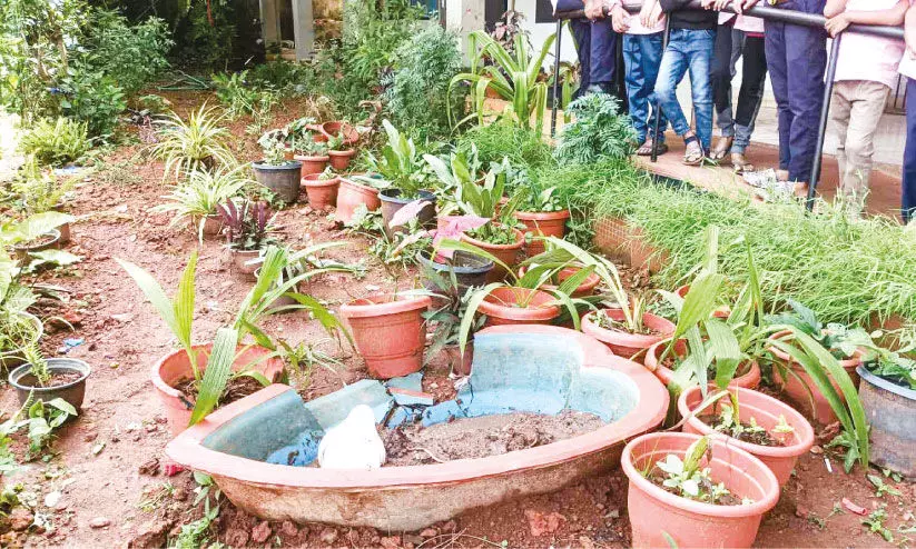 എടക്കുളം സ്കൂളിലെ പൂന്തോട്ടം സാ​മൂ​ഹി​ക വി​രു​ദ്ധ​ർ നശിപ്പിച്ചു