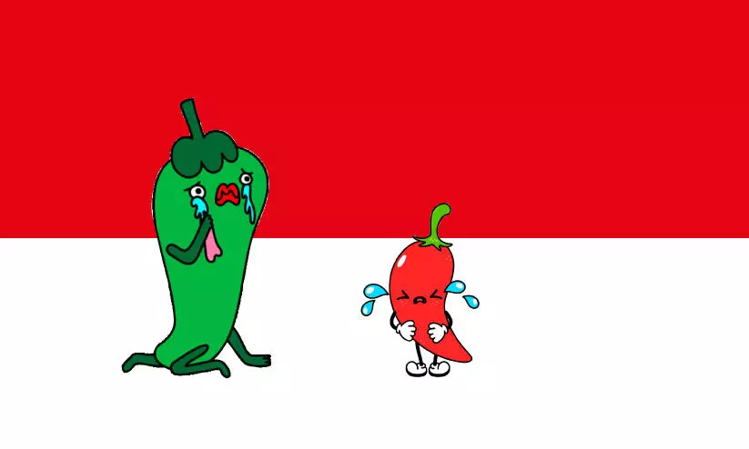 പച്ചക്കറിക്ക് പൊള്ളും വില; കരയിപ്പിച്ച് പച്ചമുളക് പച്ചക്കറിക്ക് പൊള്ളും വില; കരയിപ്പിച്ച് പച്ചമുളക്