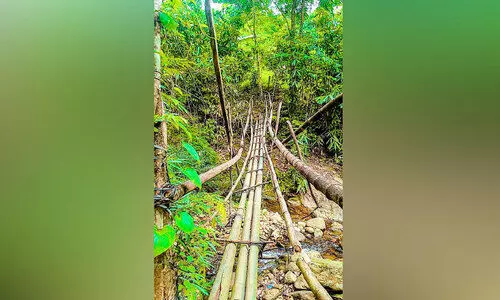 വനം വകുപ്പ് നിർമാണം തടഞ്ഞു; ദുരിതപ്പെയ്ത്തിൽ കോച്ചേരിക്കടവ്​ നിവാസികൾ