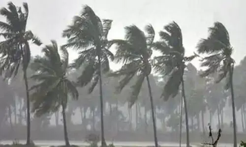 വെള്ളപ്പൊക്ക മുന്നൊരുക്കം: തദ്ദേശ സ്വയംഭരണ സ്ഥാപനങ്ങൾക്ക് തുക അനുവദിക്കാൻ ഉത്തരവ്